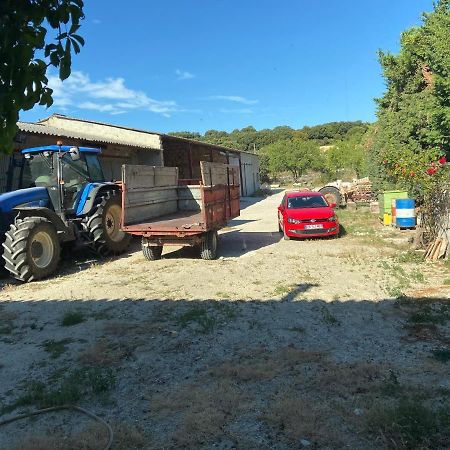 Gîte à la ferme Clansayes Extérieur photo